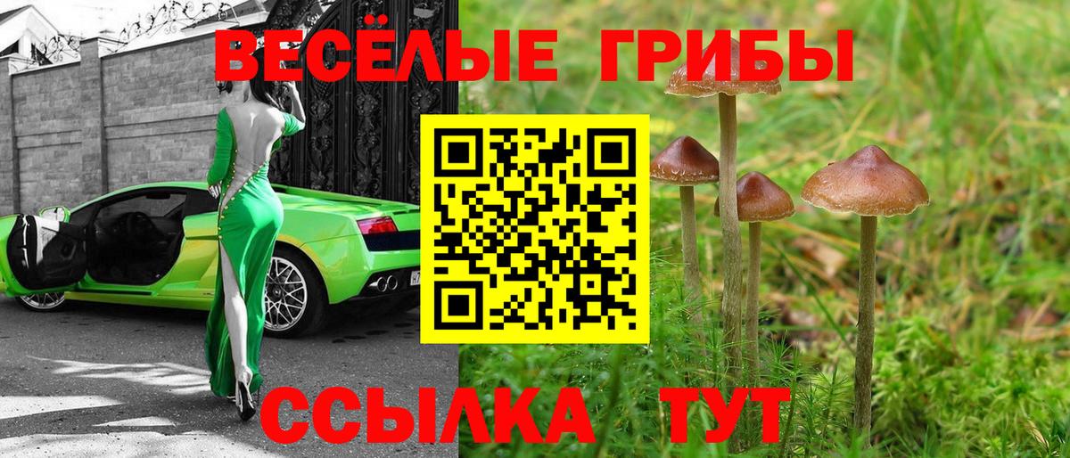 Галлюциногенные грибы мицелий  Вход с VPN  Орёл  Псилоцибиновые грибы прущие грибы 