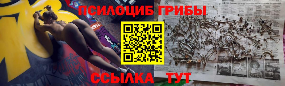 Псилоцибиновые грибы прущие грибы Орёл